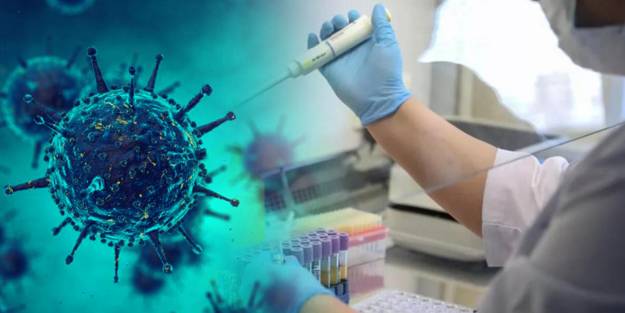 Dünyayı dehşete düşüren koronavirüs gerçeği! Salgından aylar önce sipariş etmişler