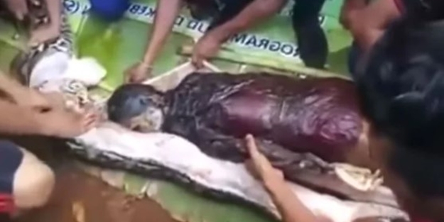 Dünyayı dehşete düşüren video! Piton kadını canlı canlı yuttu