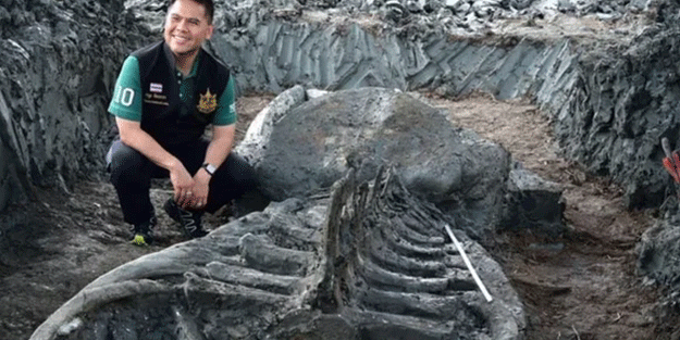 Dünyayı hayrete düşüren görüntüler! Neye ait olduğu belli oldu