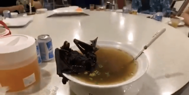 Dünyayı korkutan virüsün sebebi bu mu?