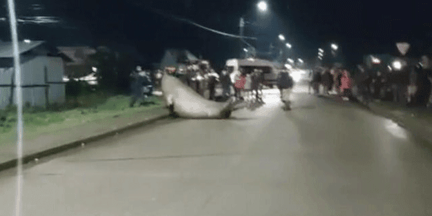 Dünyayı sarsan görüntüler! Yolunu kaybetti, duyanlar koştu