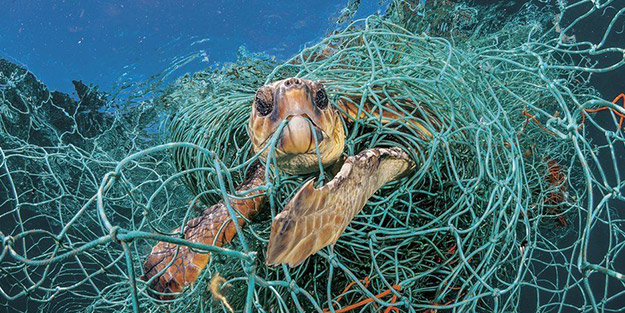 Dünyayı tedirgin eden olay! Suçluyu buldular