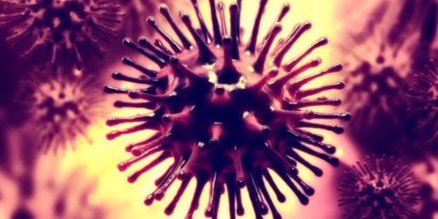 Dünyayı tehdit edebilecek yeni bir salgın hastalık belirlendi