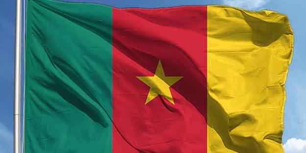Duran TIR'a çarptı! Kamerun'da bilanço ağır