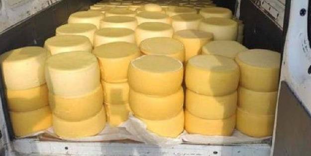 Durdurulan araçtan 2 ton kaçak kaşar çıktı