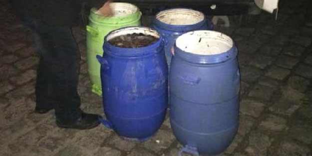 Durdurulan kamyonette, kaçak avlanan bin 500 deniz patlıcanı ele geçirildi