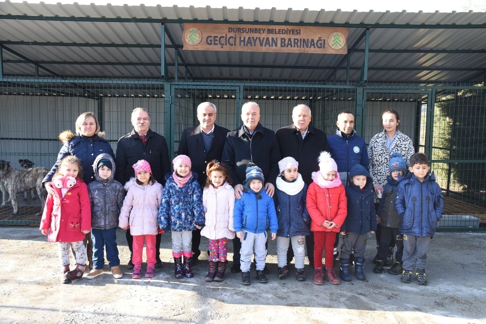 Dursunbey’de başı boş hayvanlar ıslah edilecek 