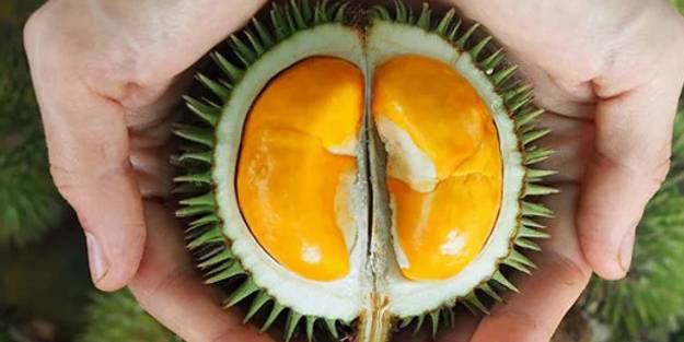 Duryan (Durian) nedir? Faydaları nelerdir?