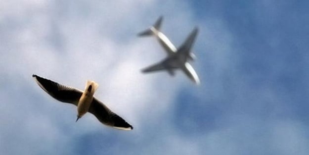 Düşen uçağın yeri tespit edildi!