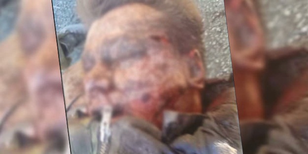 Düşürülen Rus uçağın pilotu iddiası