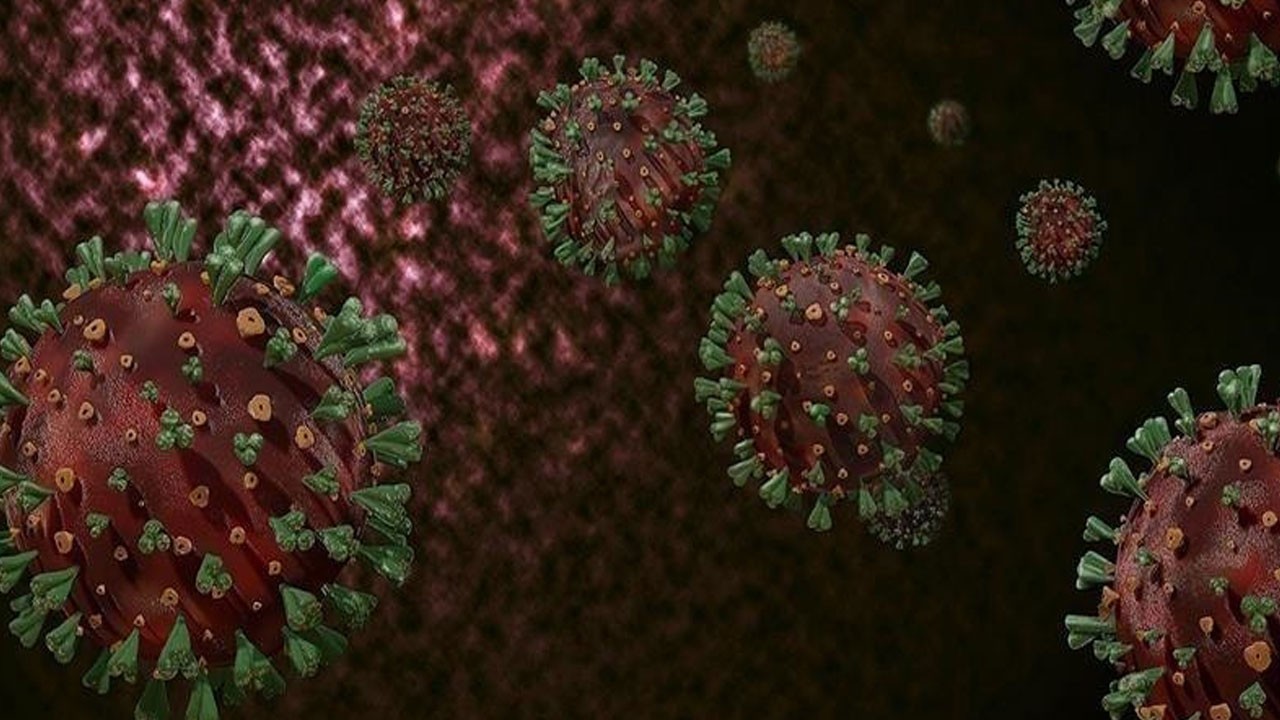 Düşüş var ama risk bitmedi! DSÖ'den korkutan açıklama