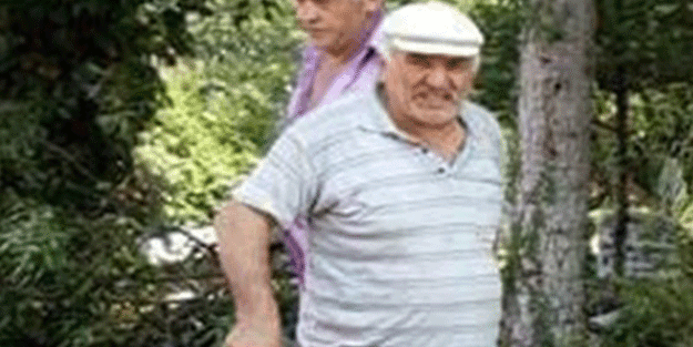 Dut ağacı sonu oldu