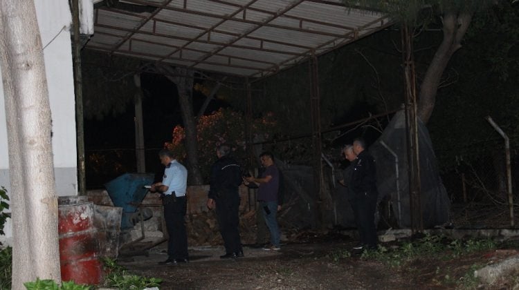 Dut toplarken çatıdan düşen muhasebe müdürü öldü