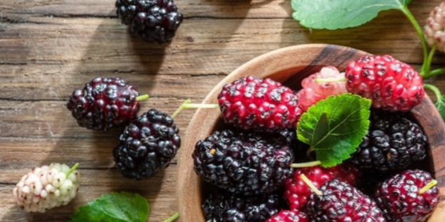 Dut yaprağı! Size, şaşkına çevirecek karışımı verelim!