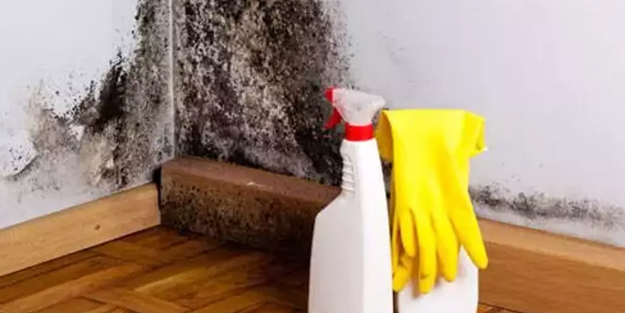 Duvardaki küf lekesi nasıl çıkartılır? Dakikalar içinde hazırlamak mümkün