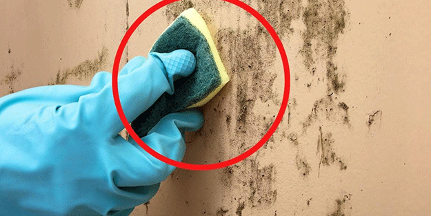 Duvarlar 10 dakikada boyası çıkmadan nasıl temizlenir? Bu pratik yöntemle yeni gibi olacak