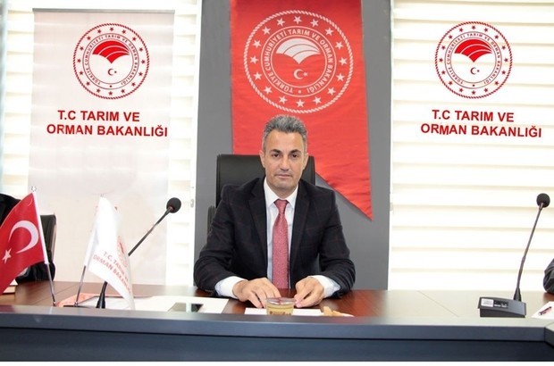 Düve alanlara hibe desteği verilecek 