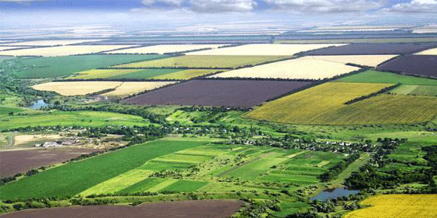 Duyan akın ediyor… Fiyatlar bir anda müthiş arttı