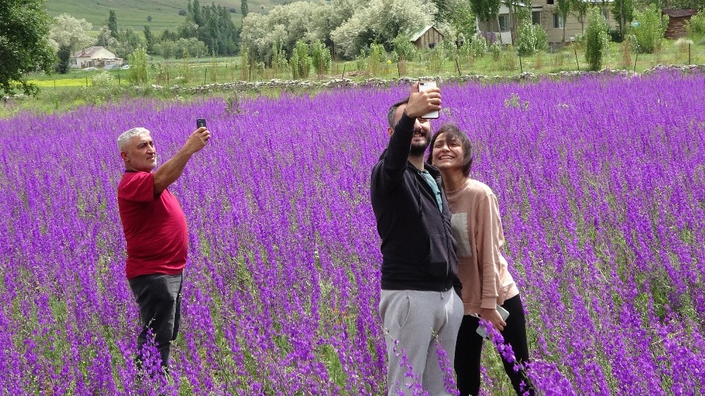 Duyan fotoğraf çektirmek için akın etti 