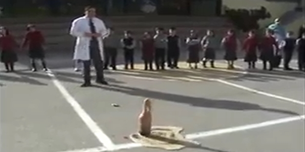 Duyarlı öğretmen, öğrencilerine kolanın ne denli zararlı olduğunu gösterdi