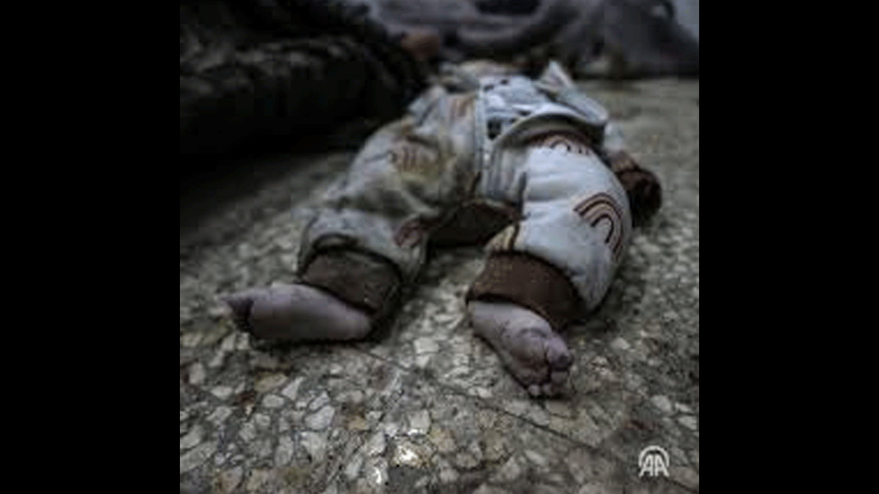 Duyarlı STK’lardan İslam Birliği çağrısı