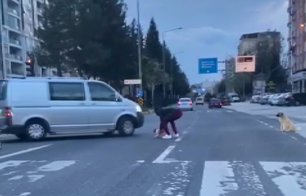 Duyarlı vatandaş anne köpeğin çaresizliğine dayanamadı 