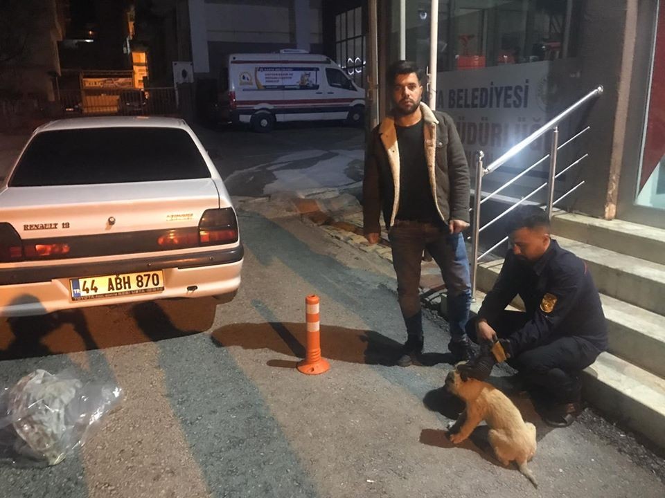 Duyarlı vatandaş yaralı köpeği belediyeye teslim etti 