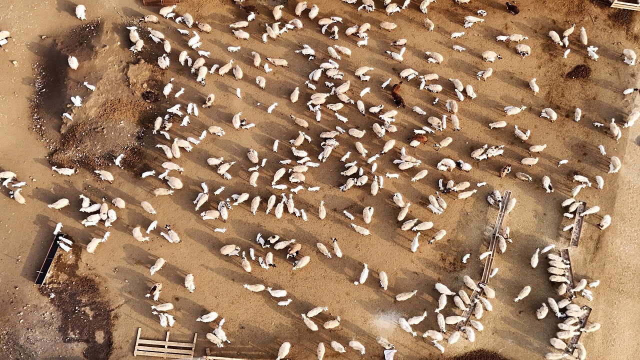 Duygu dolu manzara! Bu buluşma görülmeye değer