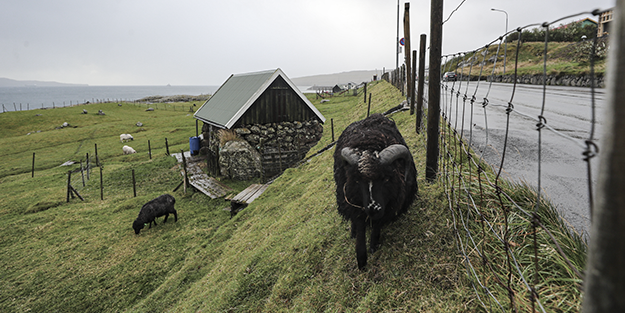 Duyunca çok şaşıracaksınız! Faroe Adalari ile igili çok ilginç bilgiler