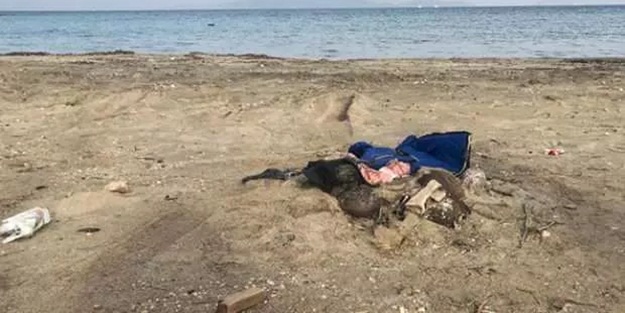 Duyurdular! Mısır sahilinde cesetlerine ulaşıldı
