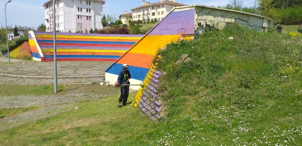 Düzce Belediyesi çim biçme çalışmaları başlatıldı 