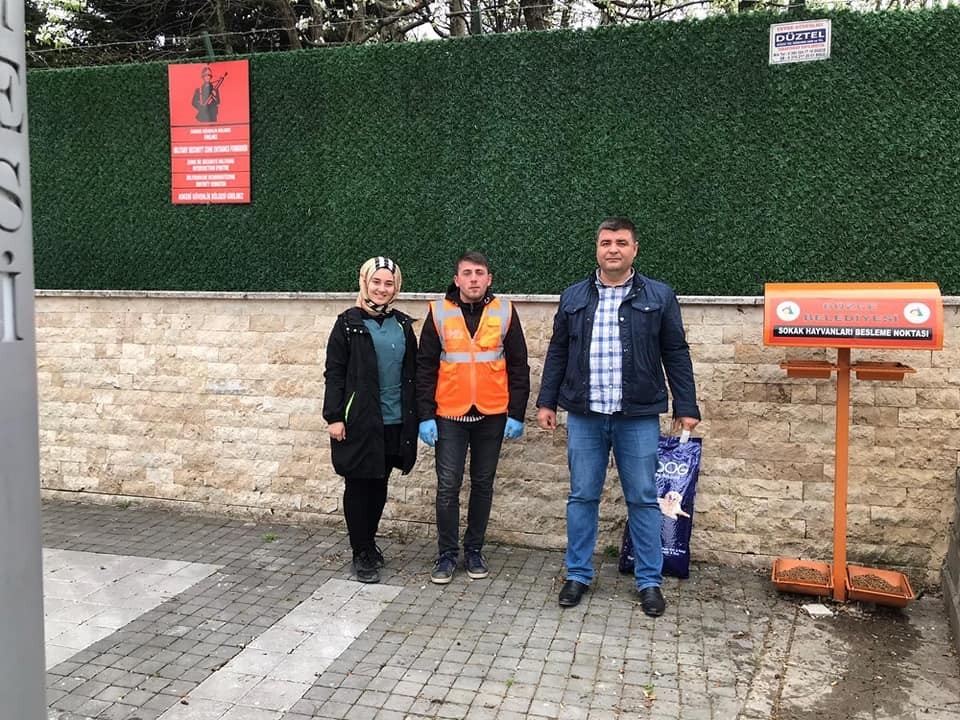 Düzce Belediyesi sokak hayvanlarını unutmadı 