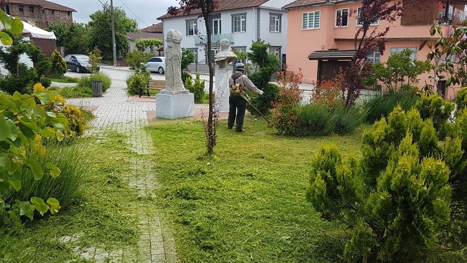 Düzce Belediyesi yabani ot temizliğine başladı 