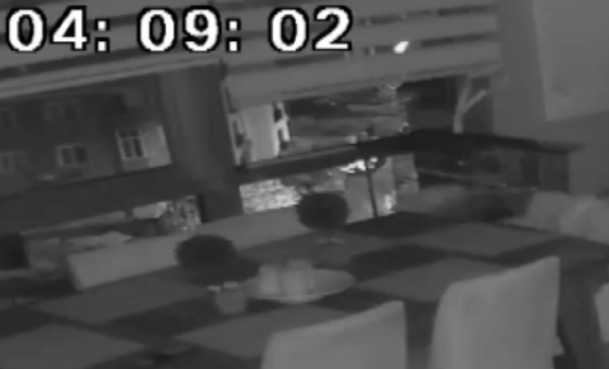 Düzce depremini hisseden İstanbul'daki papağan çılgına döndü! Görüntüler olay oldu