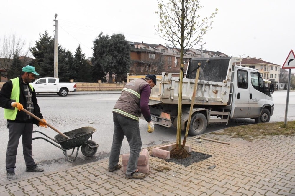 Düzce mis gibi kokacak 
