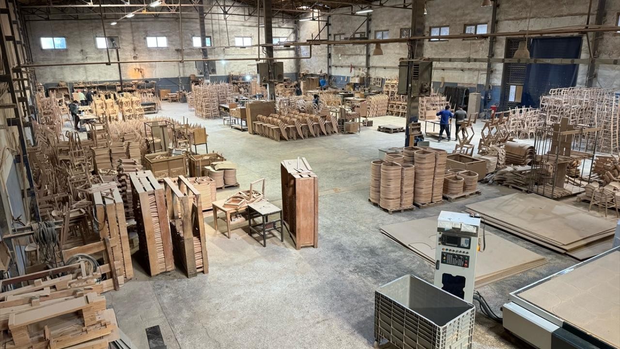 Düzce orman ürünlerinde vites yükseltti! Yılın ilk yarısında ihracat rekoru kırıldı