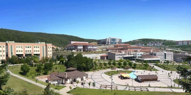 Düzce Üniversitesi 2021 taban puanları ve yüzdelik dilimleri nelerdir?
