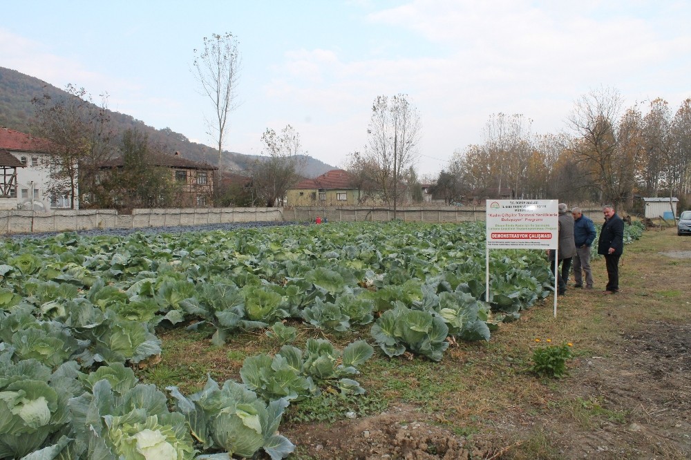 Düzce Üniversitesi’nde tarım paneli düzenlenecek 