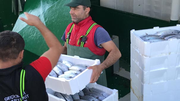 Düzce'de balıkçılar Karadeniz'den 40 ton palamutla döndü