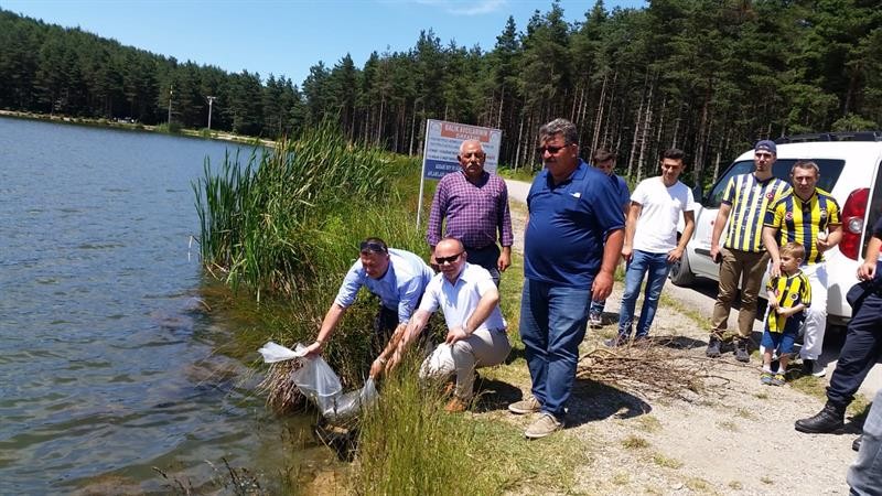 Düzce’de göl ve göletlere 50 bin yavru balık bırakıldı 