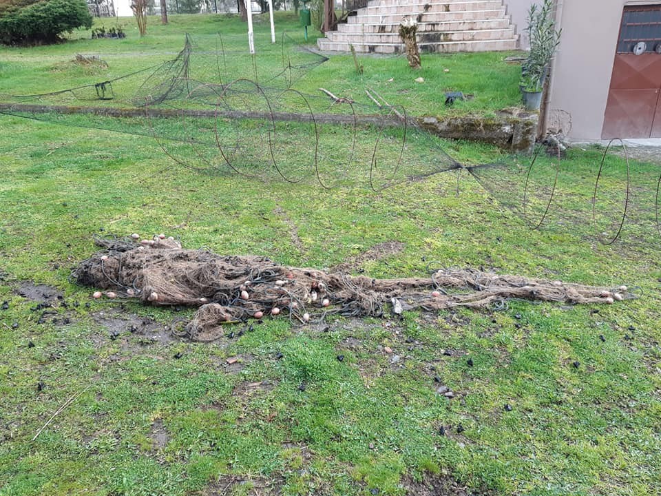 Düzce’de kaçak balık avlanmaya geçit yok 