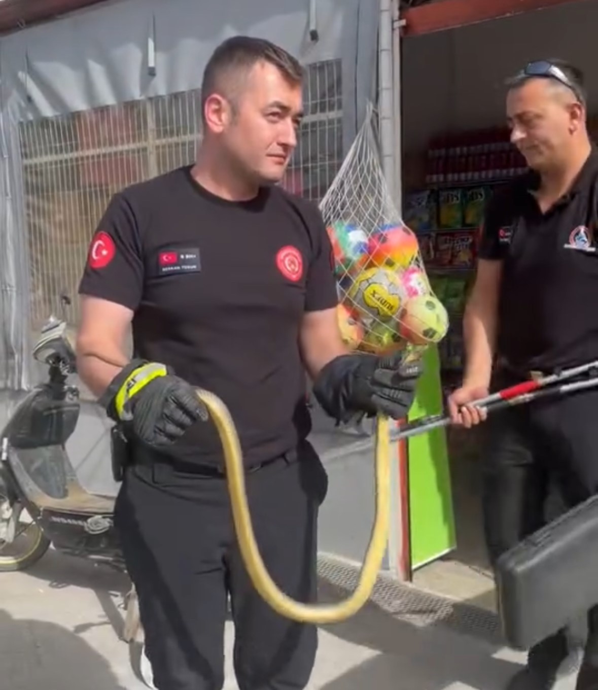 Düzce'de markette yılan paniği