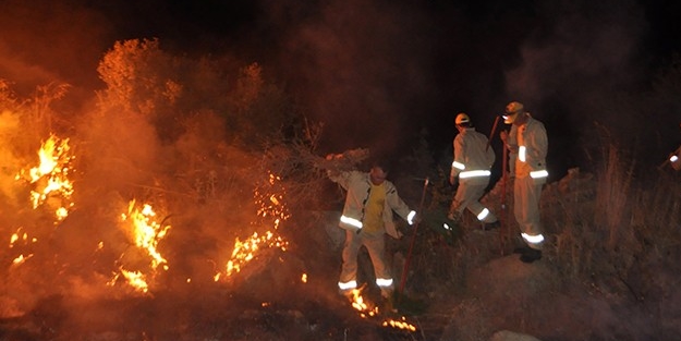 Düzce'de orman yangını!
