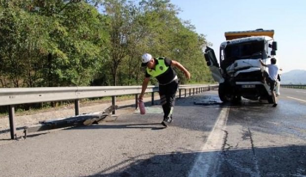 Düzce'de sürücüyü arı sokunca olan oldu!