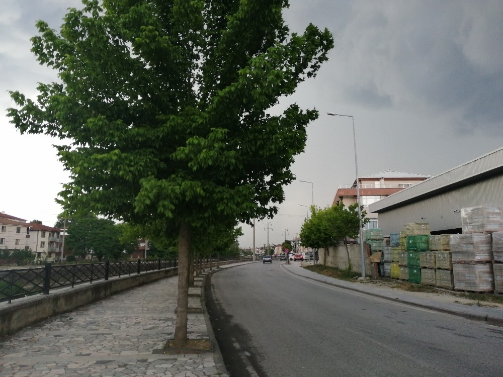 Düzce’de yağış ve rüzgar etkili oldu 
