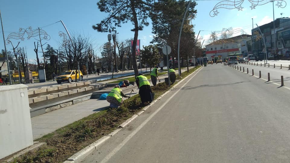 Düzce’de yeşillendirme çalışmaları sürüyor 