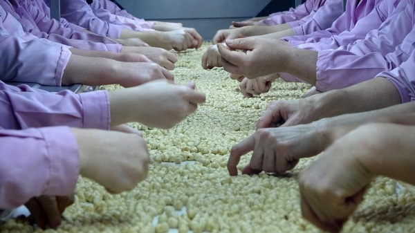 Düzce'den Avrupa'ya 2 bin 835 ton fındık