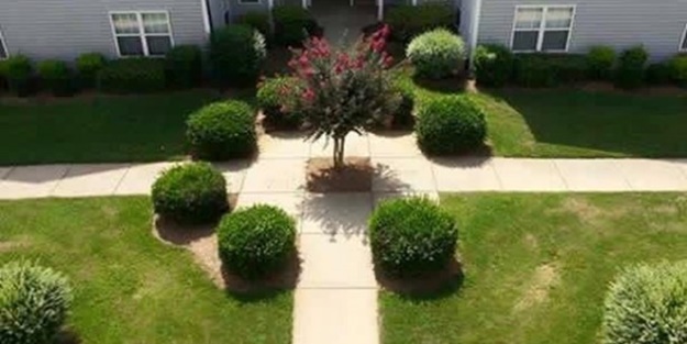 Düzen takıntısı olanları rahatsız edecek görüntüler