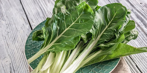 Düzenli tüketildiğinde kanser riskini sıfıra inridiyor