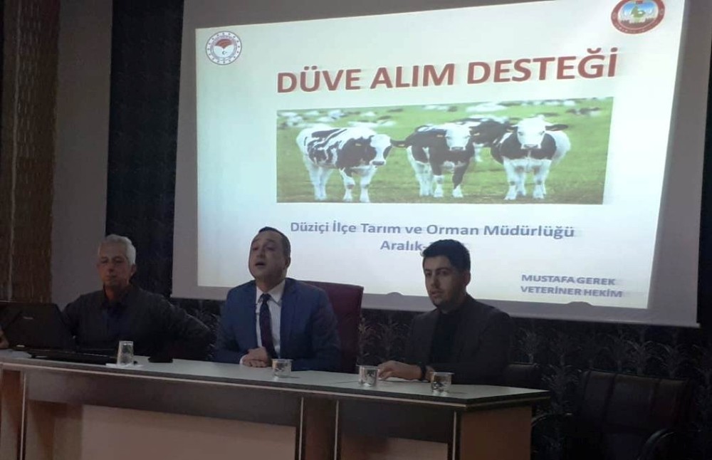 Düziçi’nde yetiştiricilere düve alım desteği bilgilendirmesi 